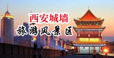 快用大鸡巴操我网站中国陕西-西安城墙旅游风景区